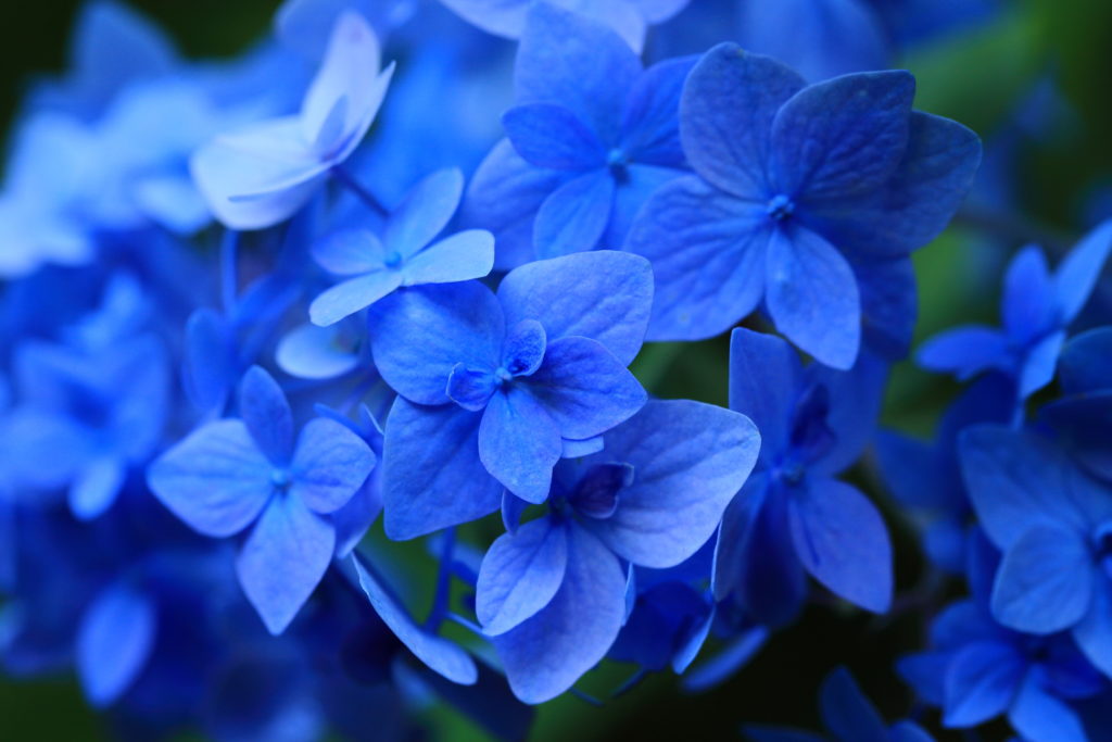 Tips for Respiratory Health